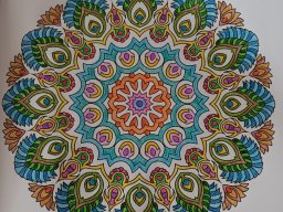 whatsapp bild 2024-01-17 um 12.47.32_2df3c10b